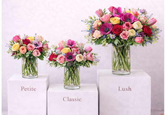 Valentine's Capsule Spring Colors