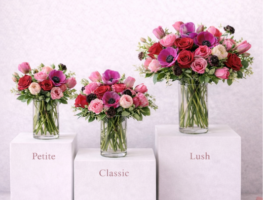 Valentine's Capsule Traditional Colors